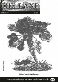 TLM 35 cover for web.jpg TLM 35 cover for web.jpg